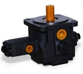 Насос VP1-20-55