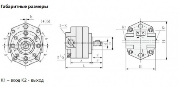 BB-B шестеренный масляный насос