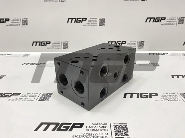 Плита MD05P2G (Ду 10, 2-м.) сталь